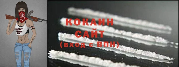 соль ск Алзамай