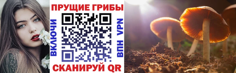 Галлюциногенные грибы мухоморы закладки Микунь